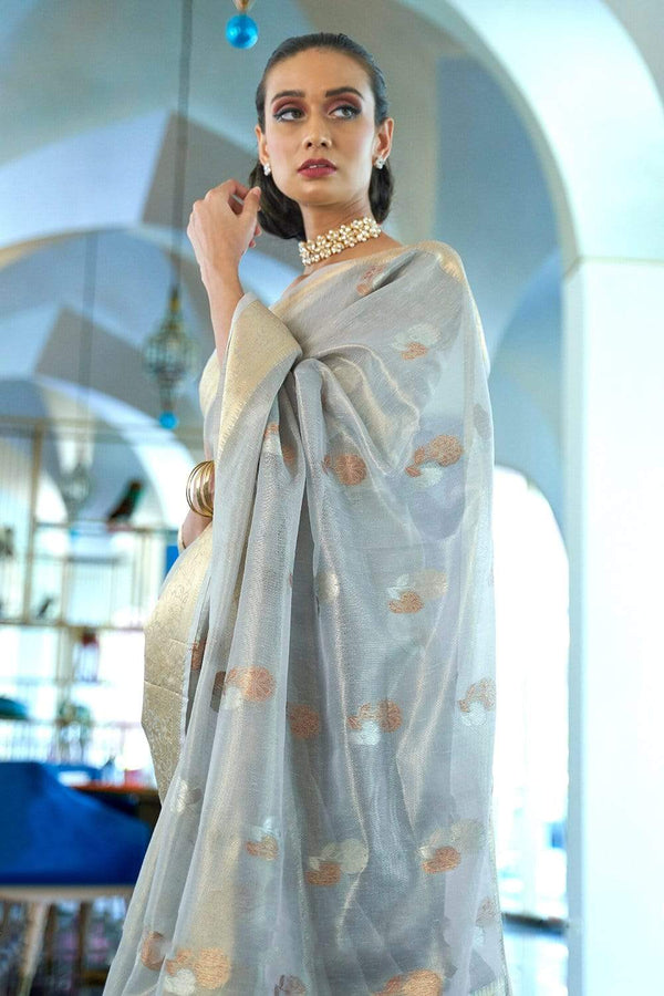 Cloud Grey Organza Saree