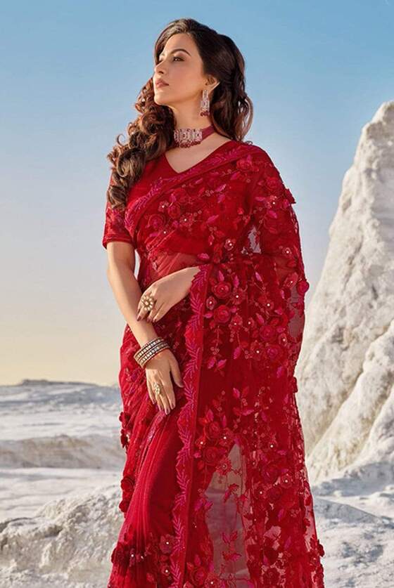 Red Net Designer Saree